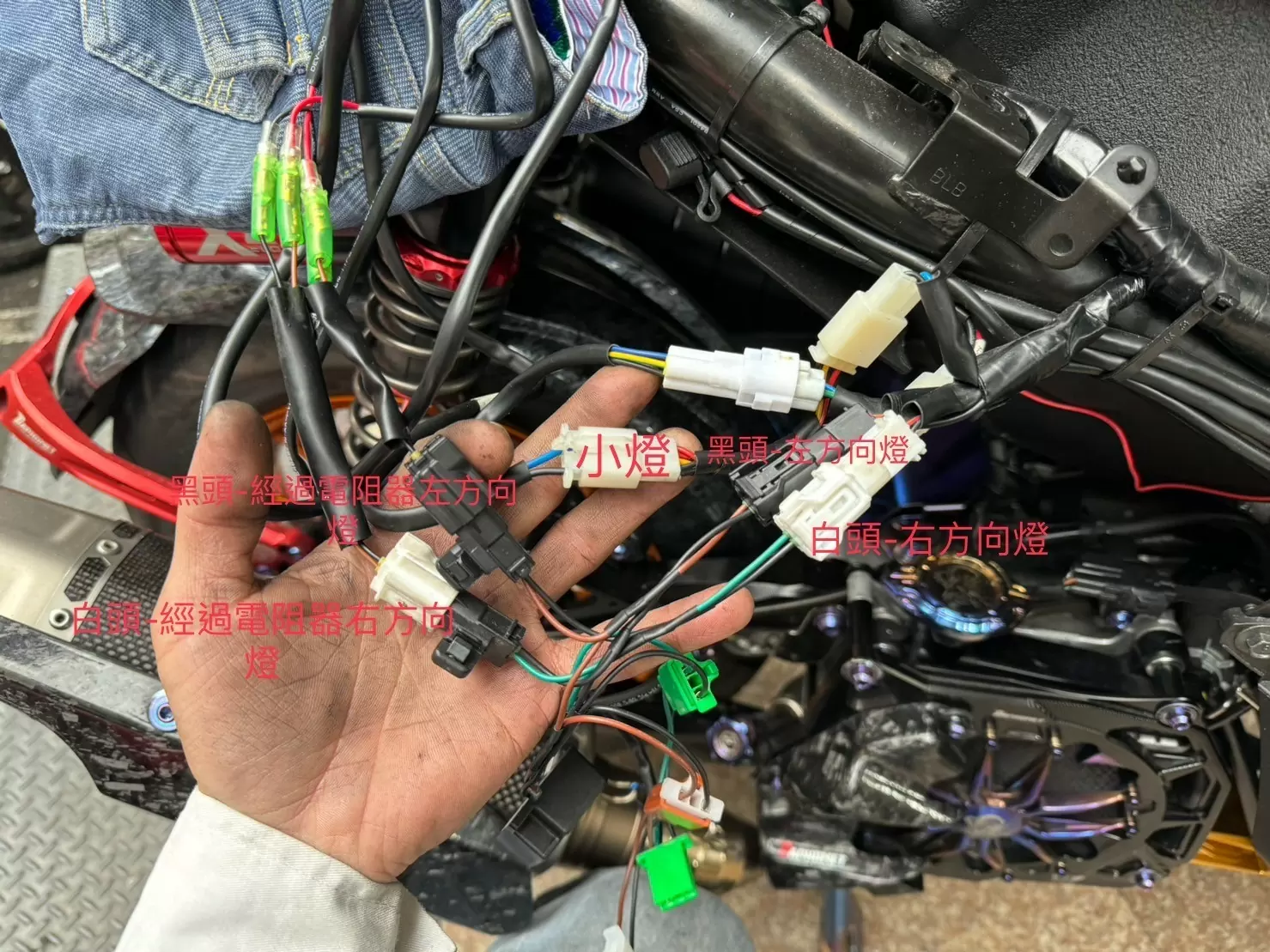 AUGUR尾燈防快閃模塊